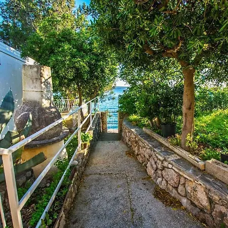 Apartment In Starigrad-paklenica 6877