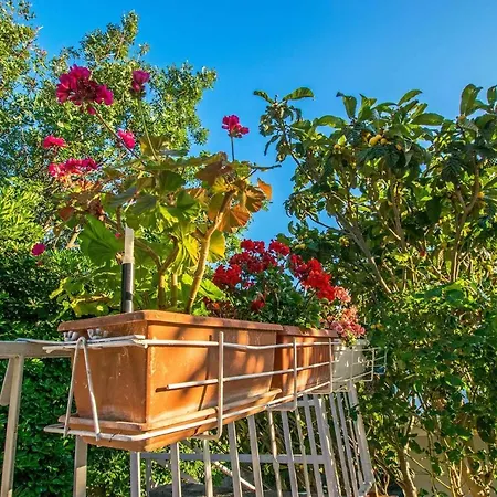 In Starigrad-paklenica 6877 스타리그라드 파클레니차