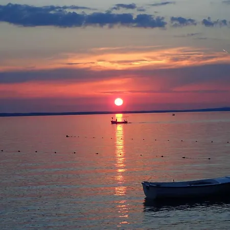 In Starigrad-paklenica 6877