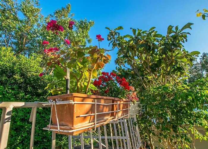 In Starigrad-paklenica 6877 Starigrad-Paklenica